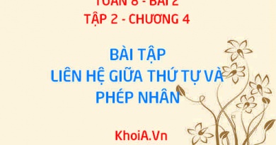 Bài tập liên hệ giữa thứ tự và phép nhân: Bài tập 5, 6, 7, 8 trang 39, 40 SGK Toán 8 tập 2 bài 2